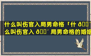 什么叫伤官入局男命格「什 🐴 么叫伤官入 🌴 局男命格的婚姻」